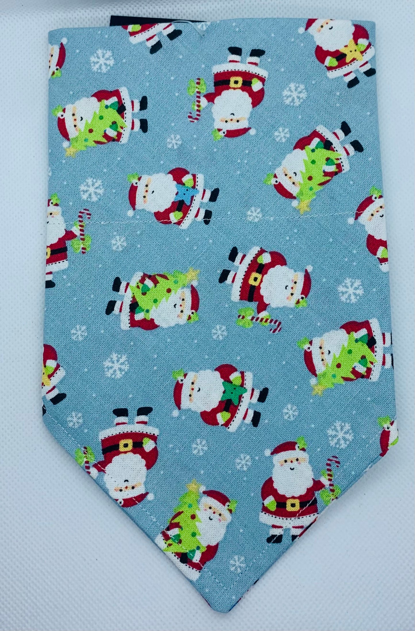 Santa